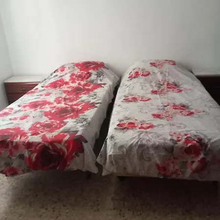Piso En En Pleno Centro Homestay