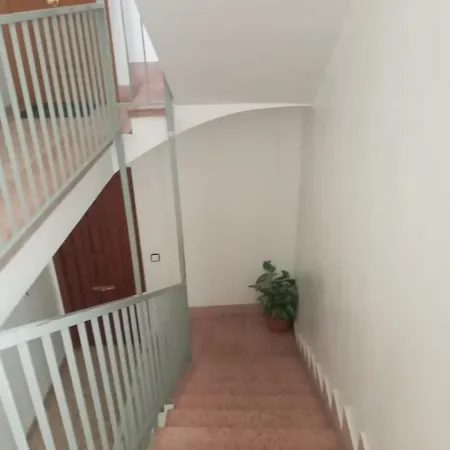 Piso En En Pleno Centro Homestay